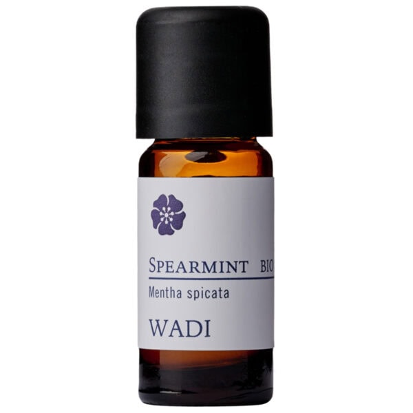 WADI Spearmint (Krauseminze), 10 ml, bio