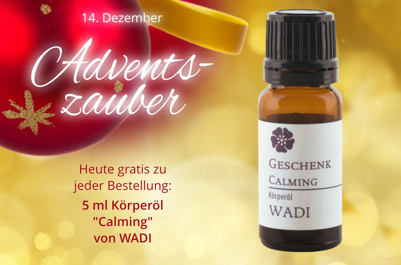 Adventskalender 2025